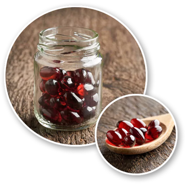 softgel capsules manufacturers in Hyderabad